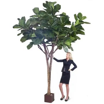 hauteur sous feuillage LYRATA artificiel 340 cm (figuier artificiel)