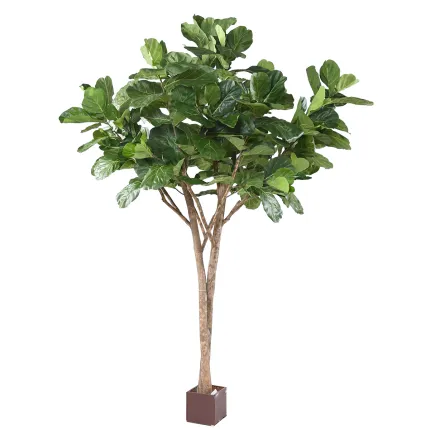LYRATA artificiel 340 cm (figuier artificiel)