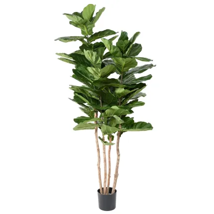 LYRATA artificiel 210 cm multitroncs (figuier artificiel)