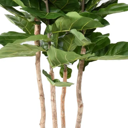 LYRATA artificiel 210 cm multitroncs (figuier artificiel)
