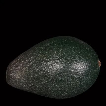 AVOCAT artificiel 10,5 cm