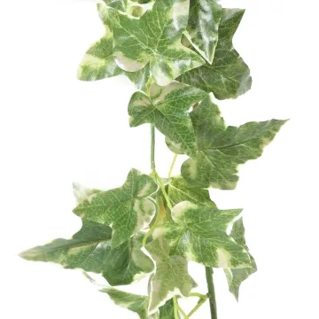 guirlande LIERRE HOLLANDAIS artificielle 180 cm - feuilles