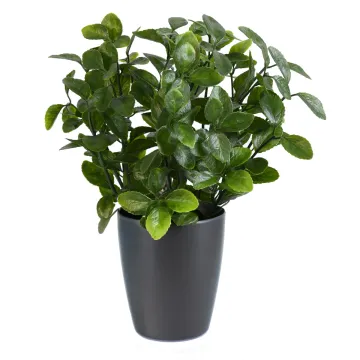 BERBERIS artificiel plast 28 cm en pot