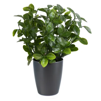 BERBERIS artificiel plast 28 cm en pot