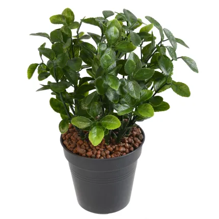 BERBERIS artificiel plast 28 cm