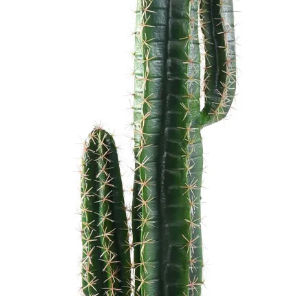 CACTUS artificiel Cereus 150 cm avec son pot - épines