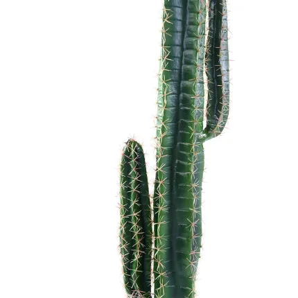 CACTUS artificiel Cereus 150 cm - tronc
