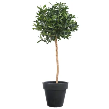 LAURIER artificiel du PORTUGAL ou Prunus Lusitanica 150 cm en pot