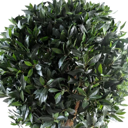 LAURIER artificiel Boule Luxe diam 90 cm ht 180 cm - feuillage