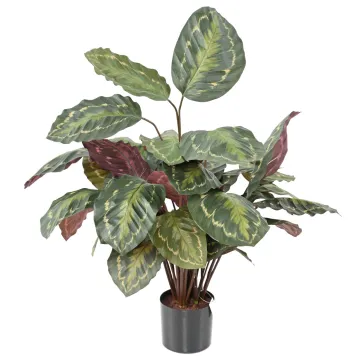 CALATHEA ROSEOPICTA artificiel 70 cm