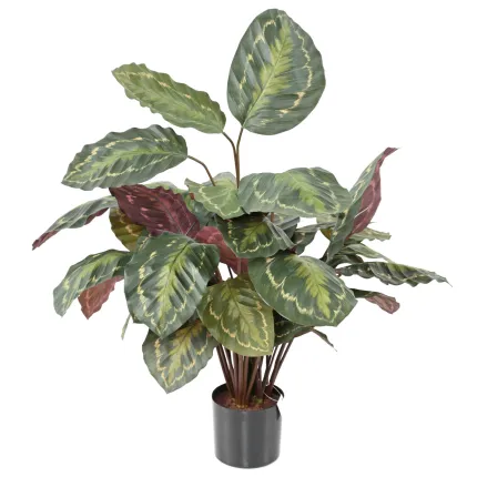 CALATHEA ROSEOPICTA artificiel 70 cm