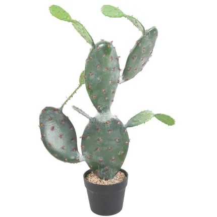 CACTUS artificiel PLAT 70 cm - de dos