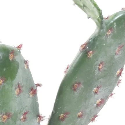 CACTUS artificiel PLAT 70 et 120 cm - détails