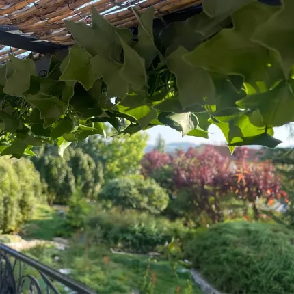 guirlande LIERRE artificielle plast 180 cm - mis en situation