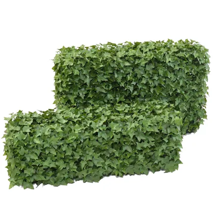 HAIE artificielle LIERRE structure métallique 30 et 55 cm