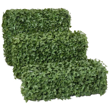 HAIE artificielle LIERRE structure métallique 30 à 80 cm