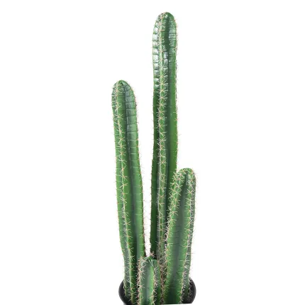 détails CACTUS artificiel colonne 135 cm