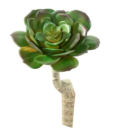 SUCCULENTE artificielle rond diam 15 cm