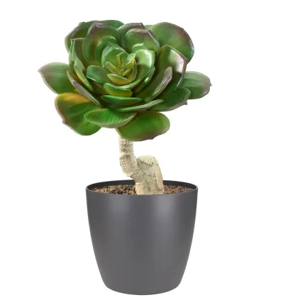 SUCCULENTE artificielle rond diam 15 cm en pot
