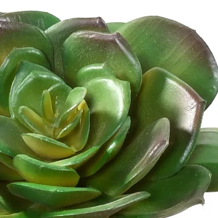 SUCCULENTE artificielle rond diam 15 cm - détails