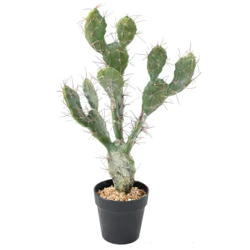 CACTUS artificiel 60 cm
