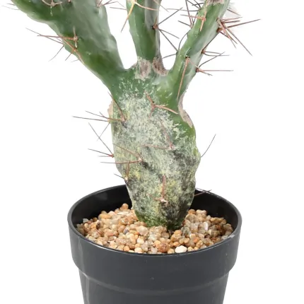 CACTUS artificiel 60 cm - base