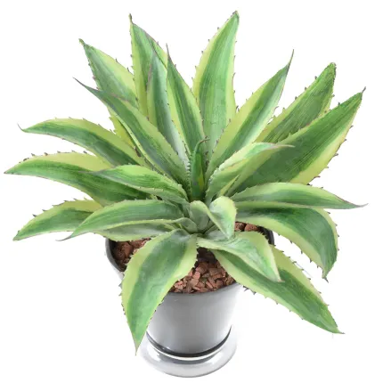 ALOE artificiel 27 cm