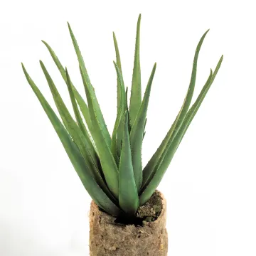ALOEVERA artificiel 60 et 70cm sur pic