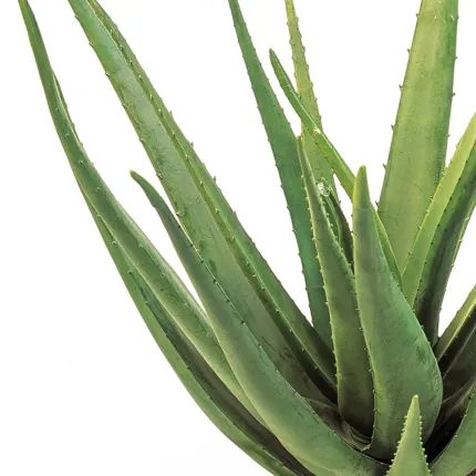 ALOEVERA artificiel 60 et 70cm sur pic