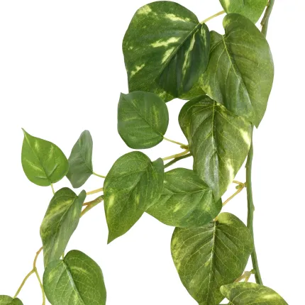 guirlande POTHOS artificiel 180 cm - feuilles