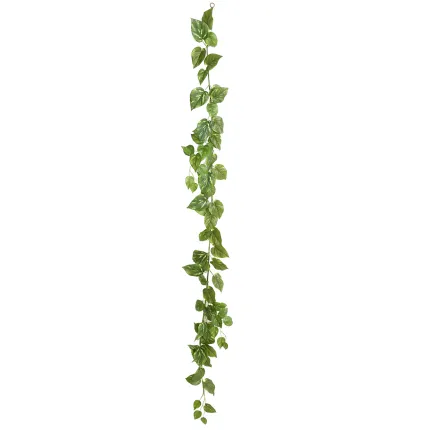 guirlande POTHOS artificiel 180 cm - droite