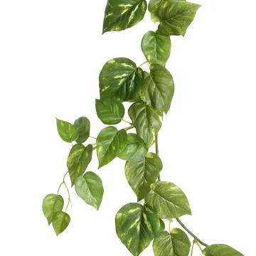 guirlande POTHOS artificiel 180 cm - feuillage