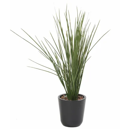 GRAMINEE honey artificielle Hteur 60 cm