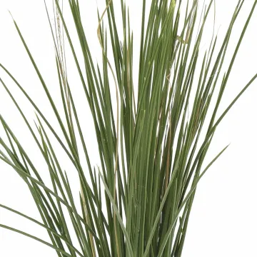 GRAMINEE honey artificielle Hteur 60 cm