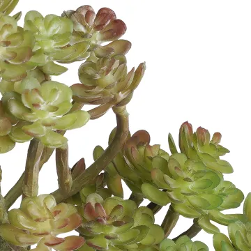 ECHEVERIA setosa artificiel 20 cm - détail