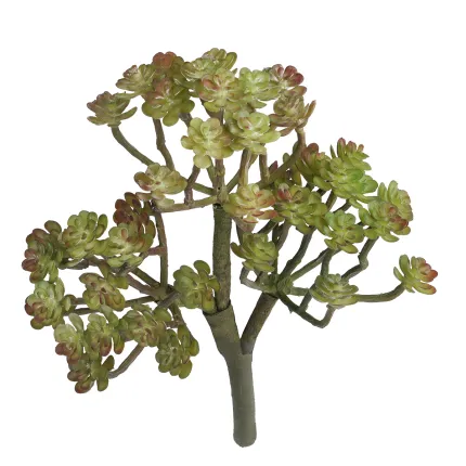 ECHEVERIA setosa artificiel 20 cm