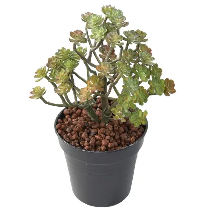 ECHEVERIA setosa artificiel 20 cm - en pot