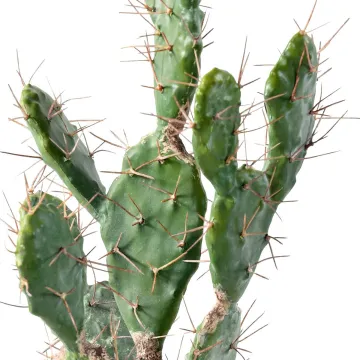 CACTUS artificiel 75 cm - détails