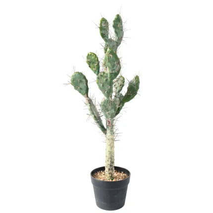 CACTUS artificiel 75 cm - dos