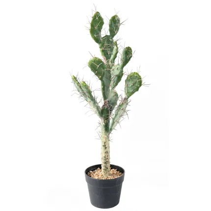 CACTUS artificiel 75 cm