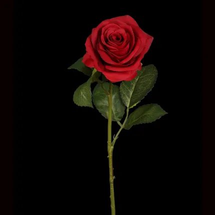 ROSE artificielle ouverte 53 cm -  rouge