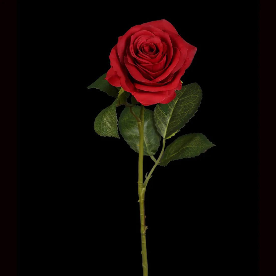 PacuM Lot de 12 roses artificielles en soie - 51 x 7 cm - Roses artificielles réalistes - Pour bouquet de mariée, demande en mariage, fête, maison, jardin - Rouge