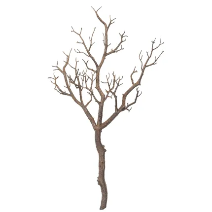 Branche 62 cm - entier