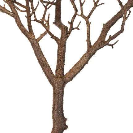 Branche 62 cm - jonction