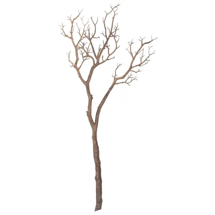 Branche 102 cm - entier