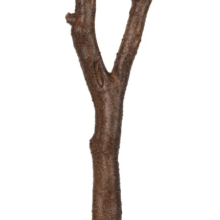 Branche 102 cm - tronc