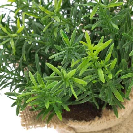 THYM artificiel en pot toile de jute 18 cm- détails