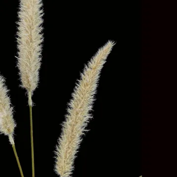 EPIS DE GRAMINEE artificielle 93 cm - détails