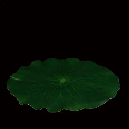 set de table feuille nénuphar artificiel diam  40 cm de profil