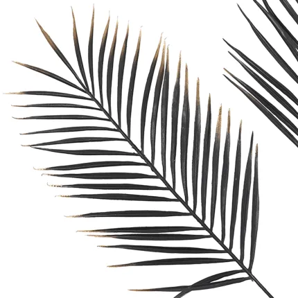 FEUILLE DE PALMIER artificiel ARECA 80 cm noir pointe or - feuille vu